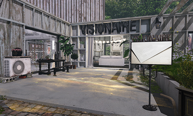 VISIONAIRE INSTITUTE