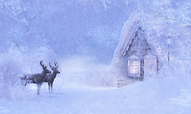 Winter Love Valley ZsIaMVie